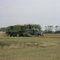Combining Canola
