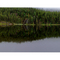 Valerie Lake