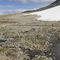 Headwaters of Big Thing Creek, looking easterly, Montana Mountain alpine valley, Carcross, Yukon, July 16, 2008.