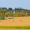 Farming in Central Alberta