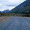 Old Trucks on North Canol Road