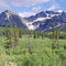 Mt Wilson from Upper Canol Rd