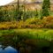 Near the North Canol Road