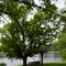 Lakeside