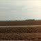 Indiana Farmland