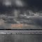 Swans and Geese under a stormy sky, Lac Cardinal