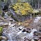 Creeks merging - Galatea Trail