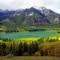 Barrier Lake Gold 'n' Green