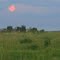 Green Prairie And The Moon In Crimson Sunset Light Near The Wainwright Trestle Bridge Southeast of Edmonton Aug '11