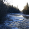 The Coming of Winter