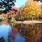 Autumn at Valley Falls