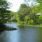 The Lodge @ Crandall Park