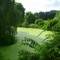 Windsorville Pond, covered in willows and algae
