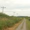 Cruising to Fenelon Falls on the rail trail