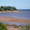 sandbar fox harbour