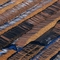 saw logs