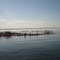 Pelicans
