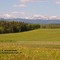 Undulating Foothills and East Slopes of the Canadian Rockies, Millarville, Alberta, Canada