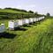 Hillside Apiary in Alberta's Countryside