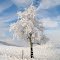 thick frost