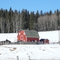 Dutch barn, Alberta.
