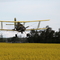 crop spraying