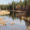 Close to Long Lake