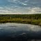 Beaver Dam in Headwaters of Amisk Lake