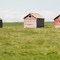 Three little houses
