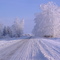 winter frost La Crete