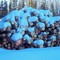 Log Pile