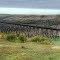 CN Trestle Fabyan Alberta