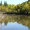 Beaver Pond Near Weaselhead