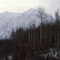 Kluane