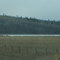 The Edge of Saunders Lake in the Coulee Near Leduc AB South of Edmonton