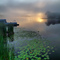 Sun Rising at Ranger Bay, French River