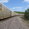 Stopped Train