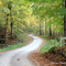 Road to Tower Rock Park in Mo, Nov'08