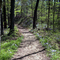 Down the Trail