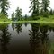Burke Infinity Pond