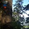 Spirit Pass on Halvor Lunden Trail, Buntzen Lake Area