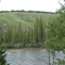 Looking at the Red Deer @ Mountainaire Lodge