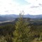 Outlook