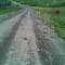 Tertiary Rd SW, Signage: 16% Slope