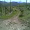 Double Track W