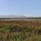 On The Dempster, Yukon, Canada.