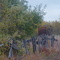 Old Snow Fence along the tracks