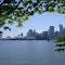 View of the Cruise Ship Port from Stanley Park, Vancouver BC