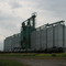 Blackie Alberta
