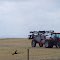 Blakie, Alberta